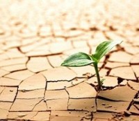 Programa de gestión integrada de sequías