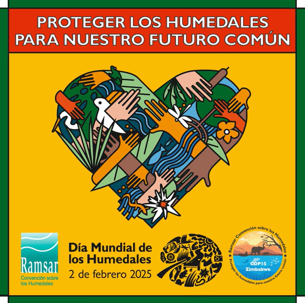 Acuamed con el día mundial de los humedales 2025