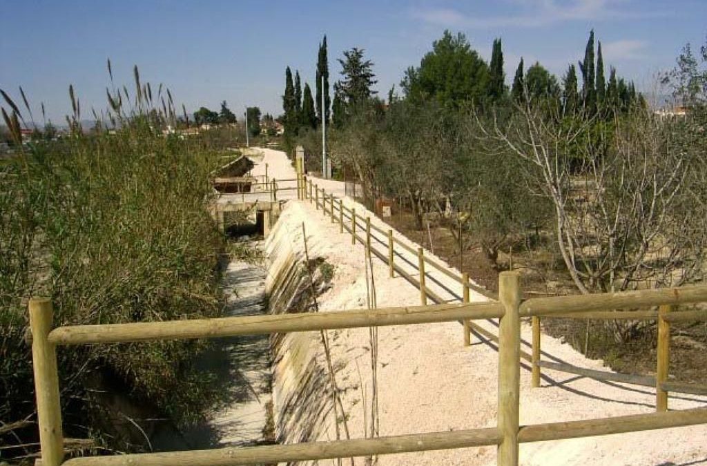 Terminación de la recuperación ambiental del Segura entre Ojós y Contraparada.T.M. Alguazas