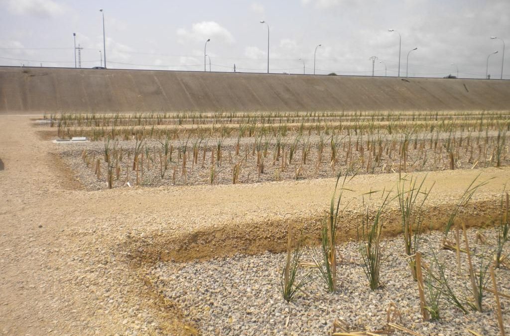 Terminación de la reutilización de aguas residuales de Pinedo