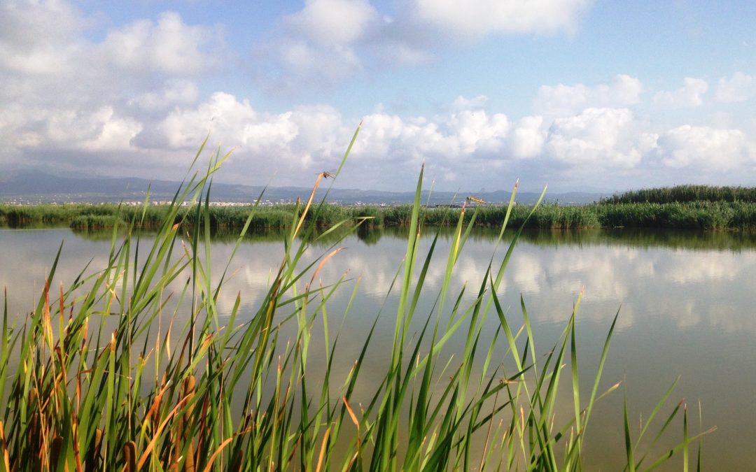El Gobierno autoriza obras hidráulicas y de saneamiento en el Área Metropolitana de Valencia
