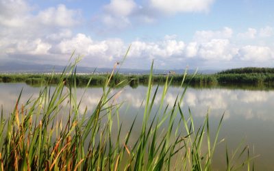 El Gobierno autoriza obras hidráulicas y de saneamiento en el Área Metropolitana de Valencia