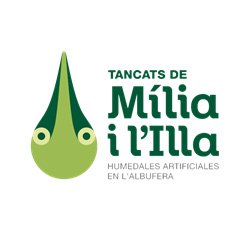 Humedales artificiales de la albufera de Valencia