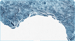 Acuamed memoria 2022