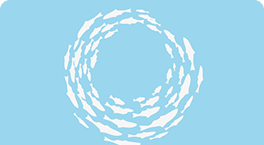 Acuamed memoria 2023