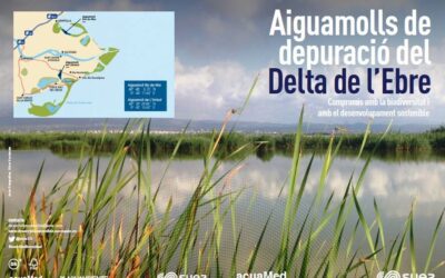 ACUAMED COLABORA CON EL DELTA BIRDING FESTIVAL