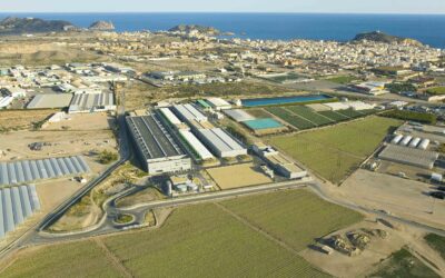 El Ministerio de Agricultura, Alimentación y Medio Ambiente autoriza un acuerdo para suministrar agua a la Comunidad de Regantes de Totana desde la desaladora de Águilas-Guadalentín (Murcia)